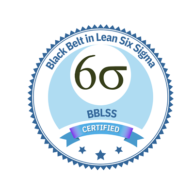 Black Belt in Lean Six Sigma (BBLSS)™